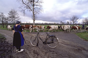 Staphorst 1989  'pas