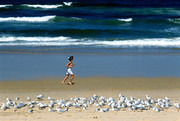 Sydney Bondi Beach 1